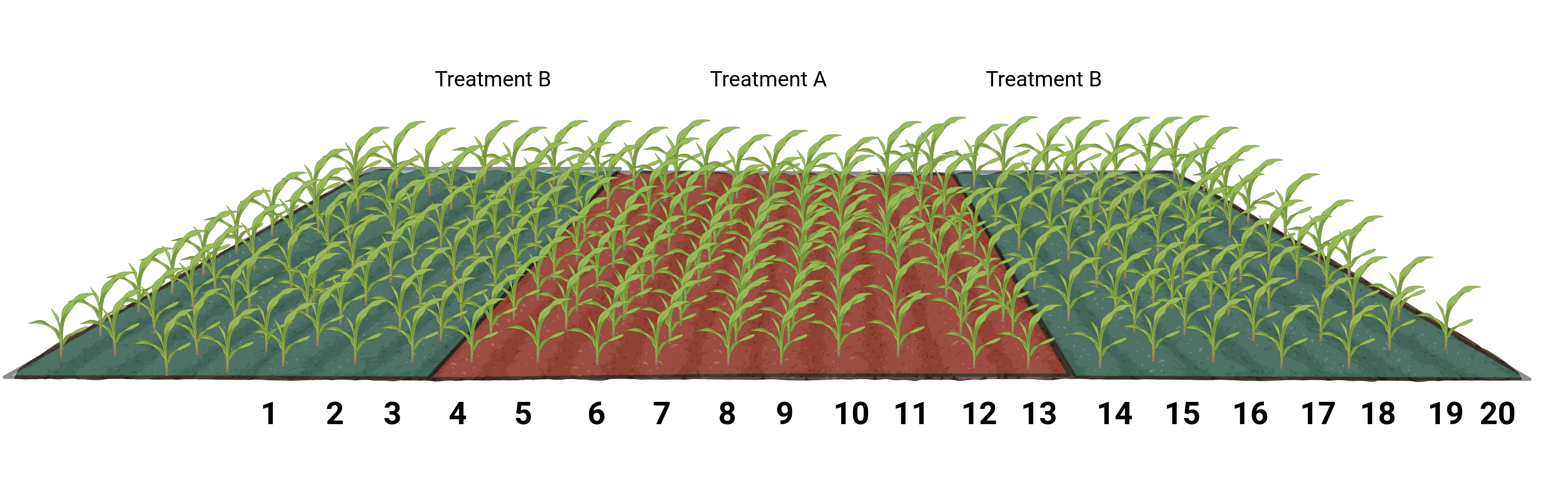 Image related to sampling